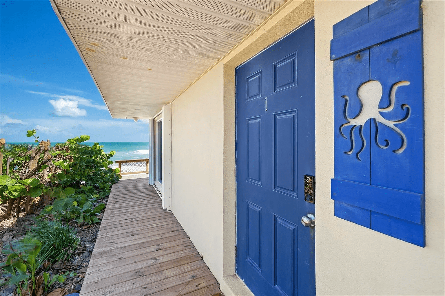 Turtles Eggs Beachfront Melbourne Beach Turtle Nesting turtles-eggs-beachfront-melbourne-beach-turtle-nesting