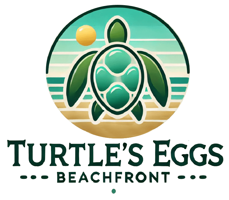 Turtles Eggs Beachfront Melbourne Beach Turtle Nesting turtles-eggs-beachfront-melbourne-beach-turtle-nesting